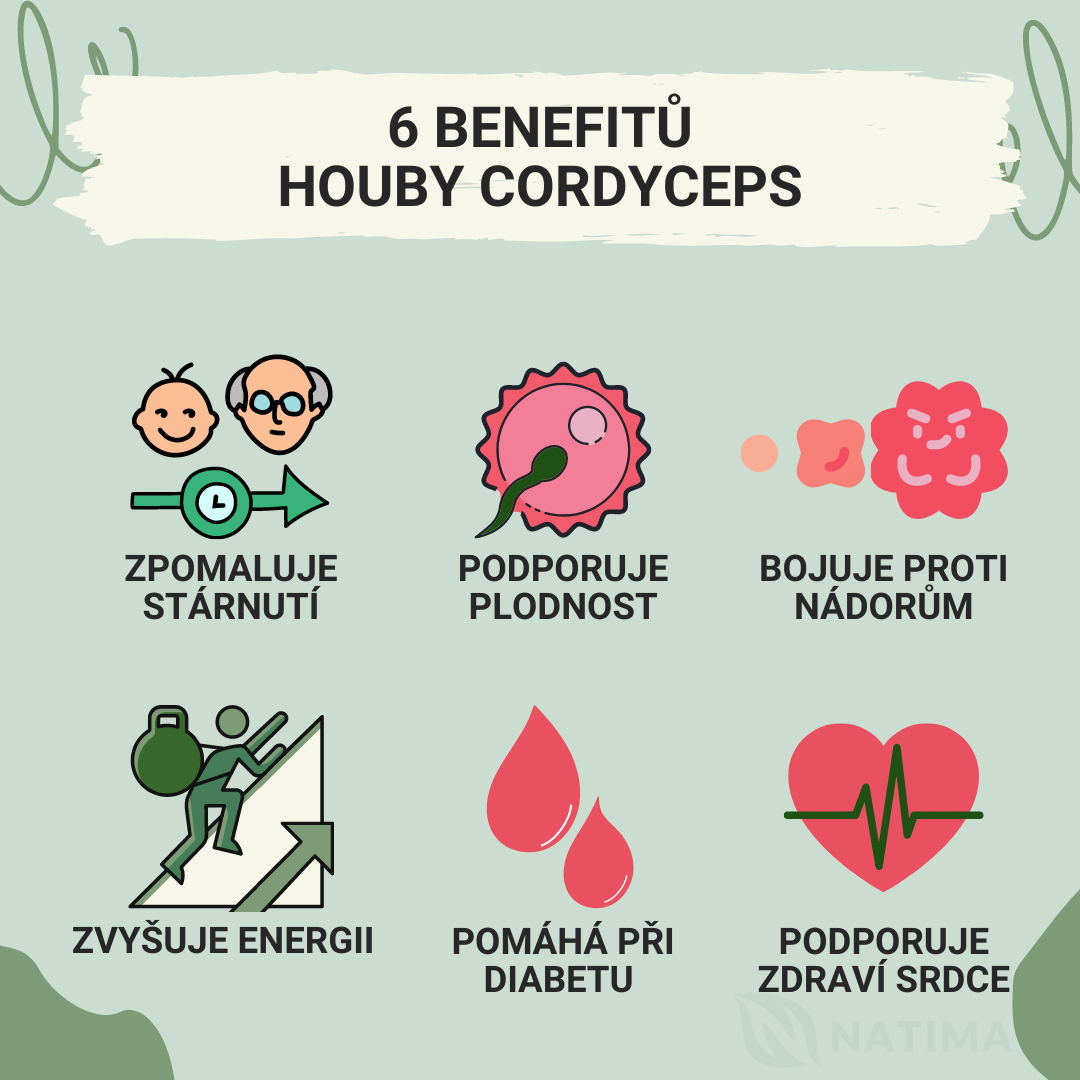 Cordyceps Natios Benefity